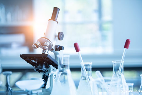 专业翻译公司-生物工程翻译哪家好